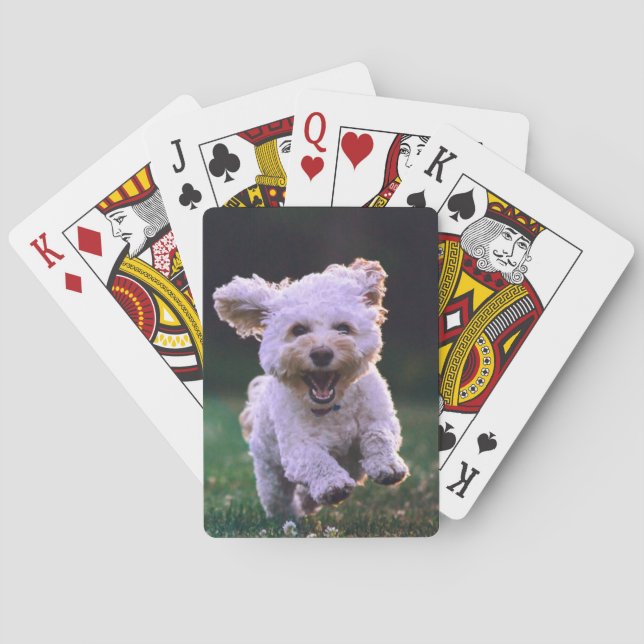 Köra White Pudel Cute Hund Casinokort (Baksidan)