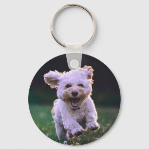 Köra White Pudel Cute Hund Nyckelring