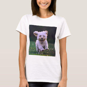 Köra White Pudel Cute Hund T Shirt