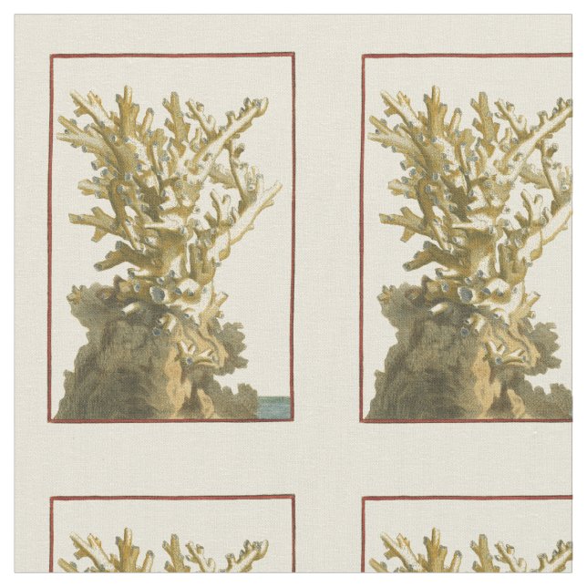 Koral av havet tyg (Närbild)