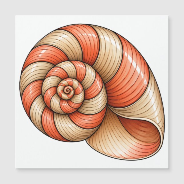 Koral Nautilus (Framsida)