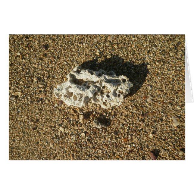 Koral på Sand Hälsningskort (Framsidan Horizontal)