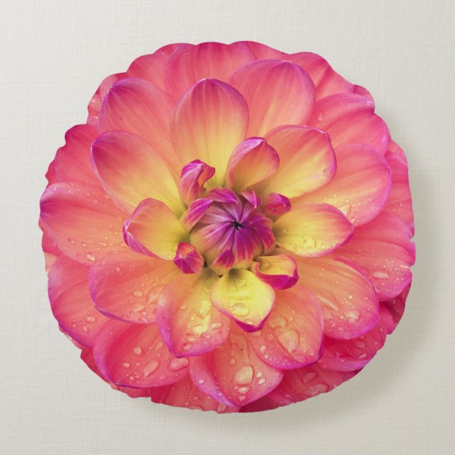 Koral rosa gult dahlia zinnia-blomma rund kudde (Framsidan)