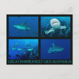 Koralhavshajar Vykort