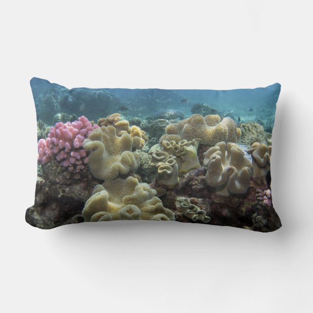 Korall, Agincourt Reef, Stora barriärrevet, Lumbarkudde (Framsida)