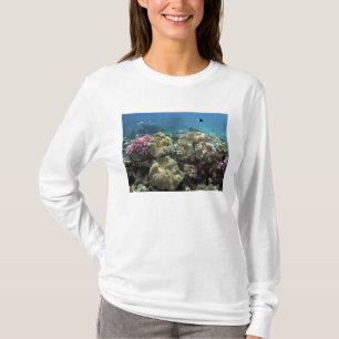 Korall, Agincourt Reef, Stora barriärrevet, T-shirt