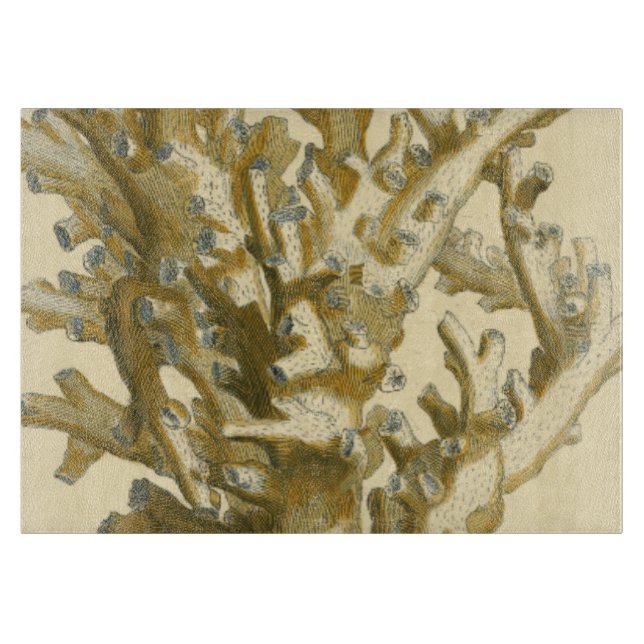 Korall av havet (Framsidan)