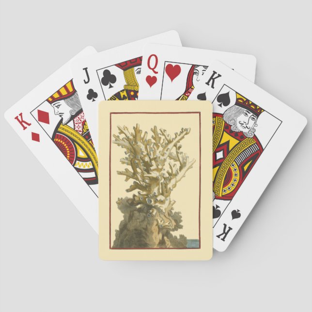 Korall av havet spelkort (Baksidan)