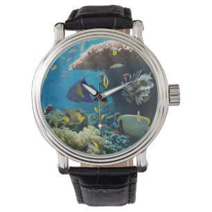 Korall och fisk i det röda havet, egypten armbandsur