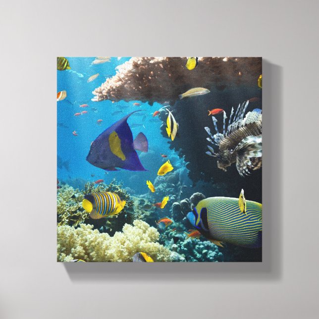 Korall och fisk i Röda havet, Egypten Canvastryck (Framsida)