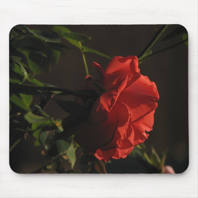 Korall rosa Mousepad Musmatta (Framsidan)