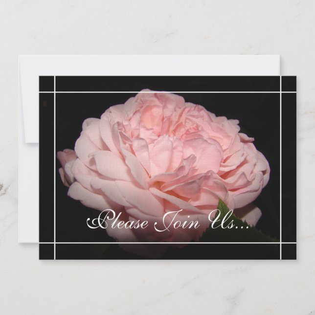 Korall steg inbjudningar för förnyandet för Vow (Framsida)