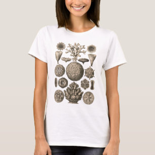 Korall Tee