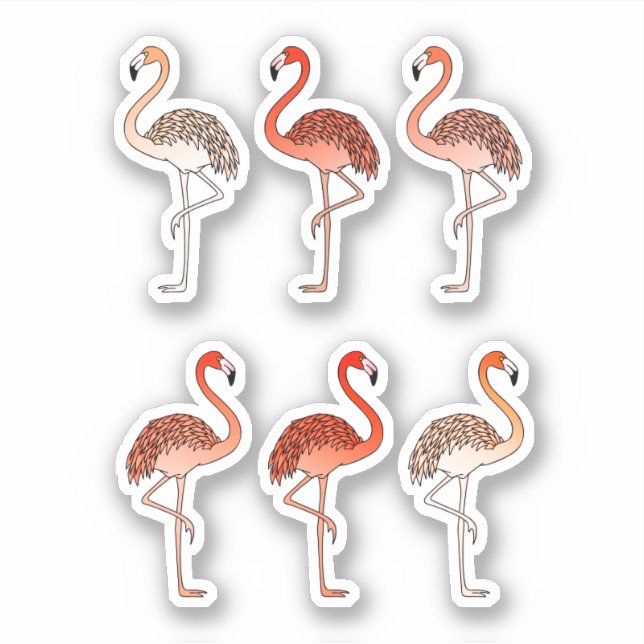 Korallfärgade flamingos klistermärken (Framsida)