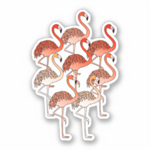 Korallfärgade flamingos klistermärken