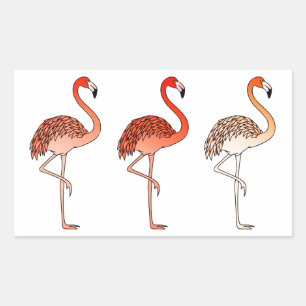 Korallfärgade flamingos rektangulärt klistermärke
