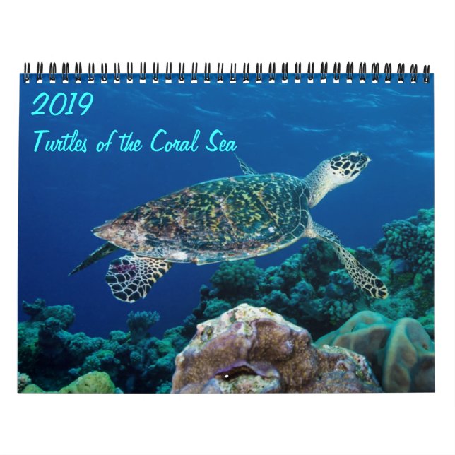 Korallhavets havssköldpaddor 2021 kalender (Omslag)