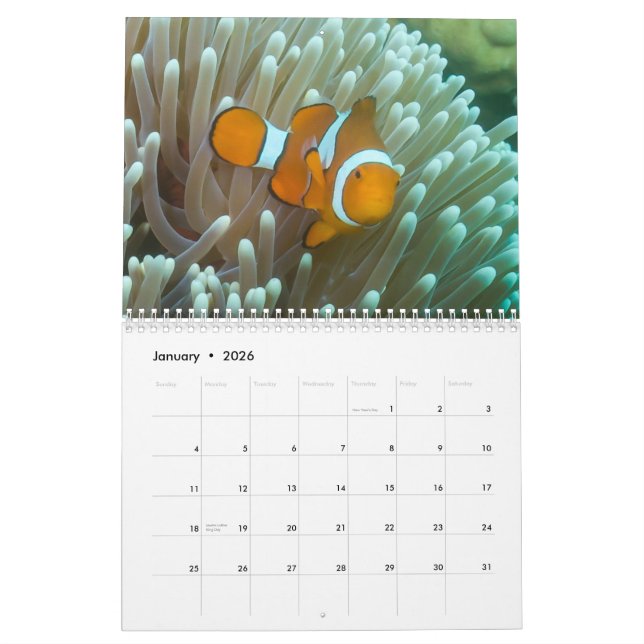 Korallhavskalender 2014 kalender (Jan 2026)