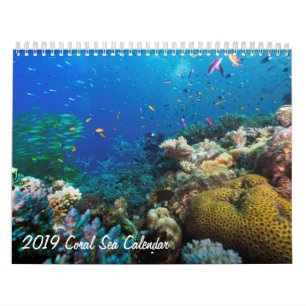 Korallhavskalender 2019 kalender