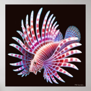 Korallrev Lionfish Poster