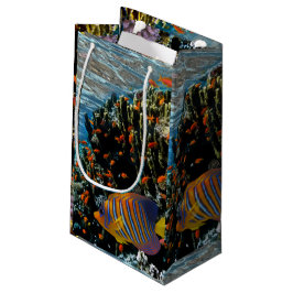 Korallrev med brandgals- och exotiskt fiske