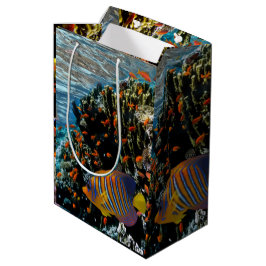 Korallrev med brandgals- och exotiskt fiske