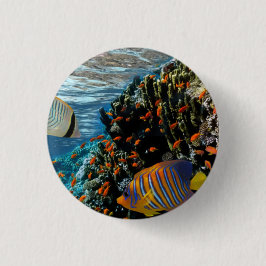 Korallrev med brandgals- och exotiskt fiske knapp