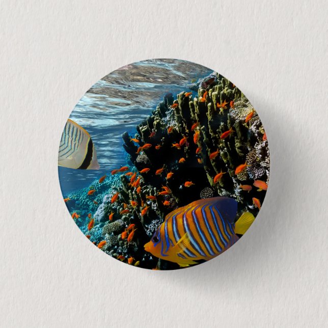 Korallrev med brandgals- och exotiskt fiske knapp (Framsida)