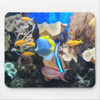 Korallrev Mousepad Musmatta