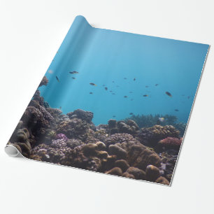 Korallrev och tropisk fisk av Stilla havet Presentpapper