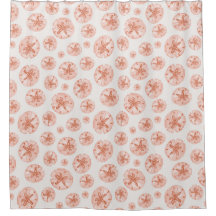 Korallsand dollar på elfenben