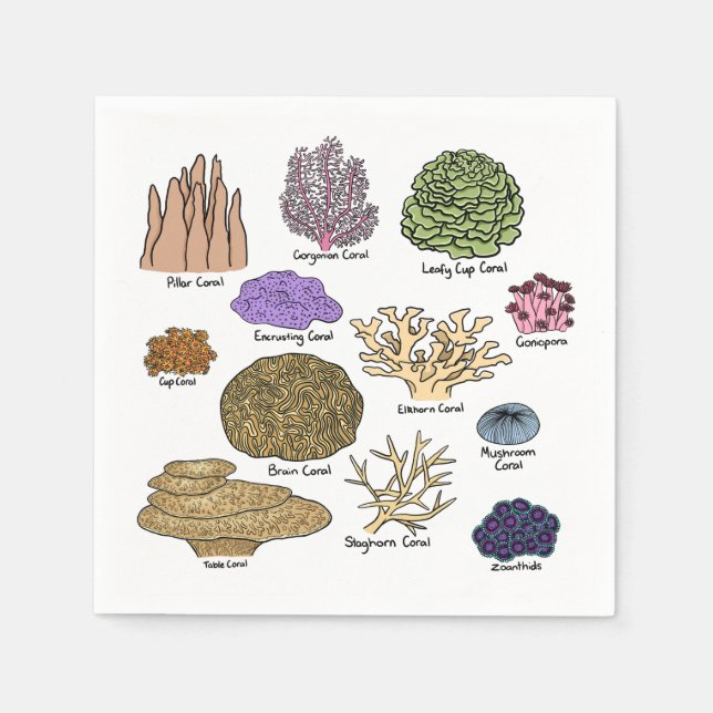 Koralltyper Pappersservett (Framsidan)