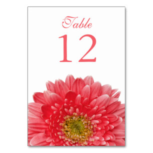 Korallvit Gerbera Daisy Bröllop Bordsnummer