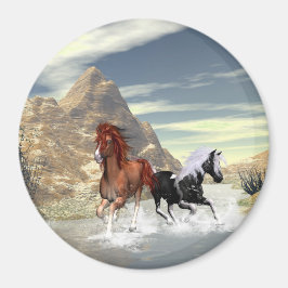 Körande hästar magnet