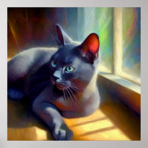 Korat Cat Poster