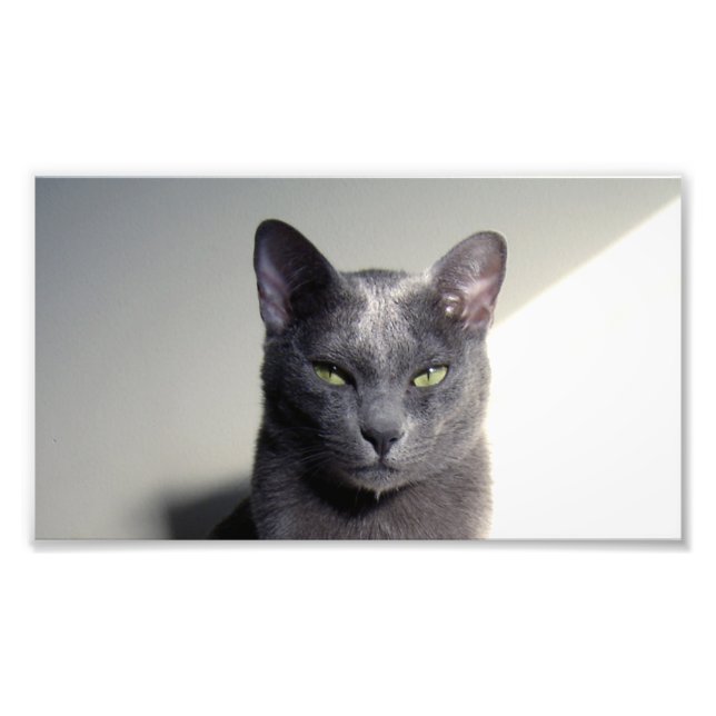 korat fototryck (Framsidan)