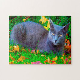 Korat-katter. Pussel