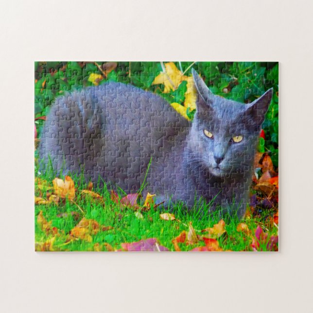 Korat-katter. Pussel (Horisontell)