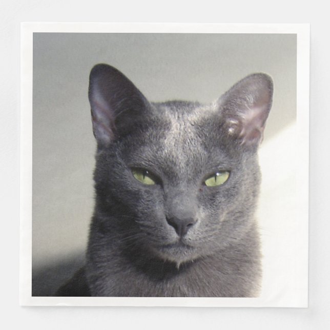 korat pappersservett (Framsida)