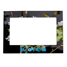 Korea Cherry Blommars White