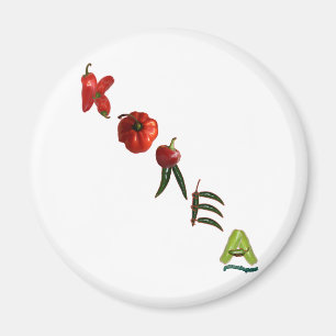 Korea Chilipeppar Magnet