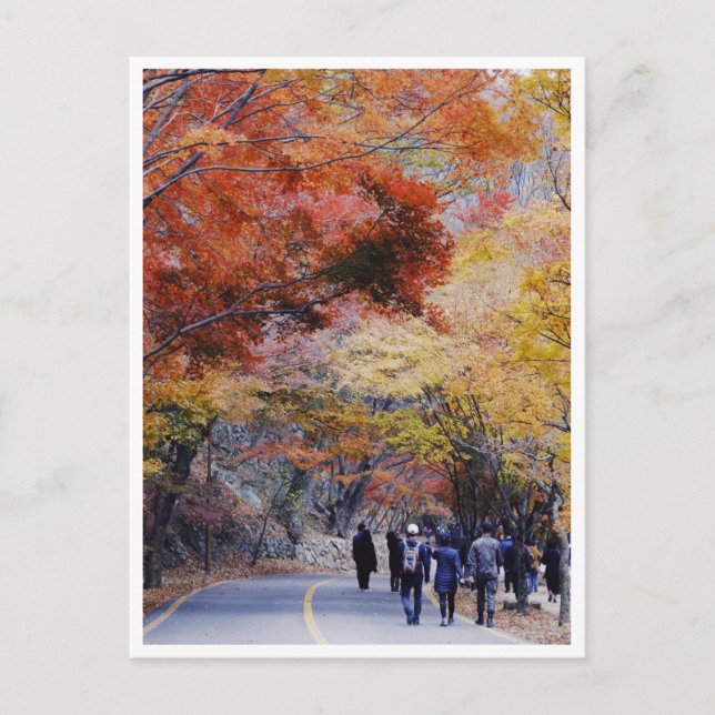 Koreabrevkort Vykort (Framsida)