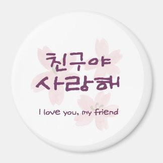 Koreansk bästa vän magnet