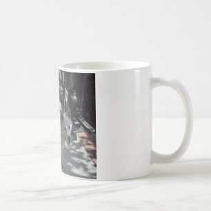 koreansk jindo full 2.png kaffemugg