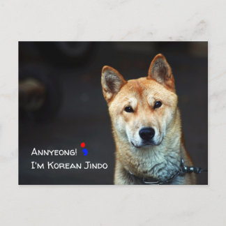 Koreansk jindo-hund-vykort vykort