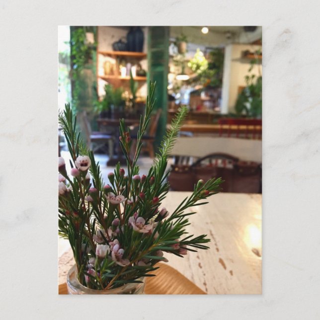 Koreansk kafé vykort (Framsida)