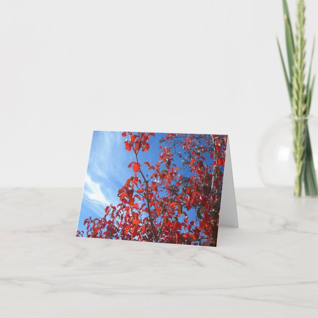 Koreansk päron kort (Framsida)