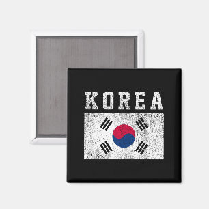 Koreanska flaggan magnet