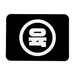 Koreanska Sino nummer 6 Sex 육 【 Yuk 】 Hangul Magnet