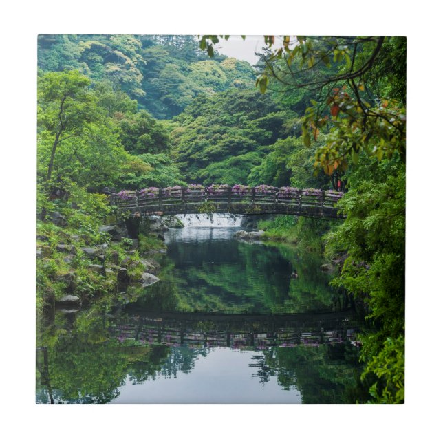 Koreanska trädgårdsmästare och brygga kakelplatta (Framsidan)